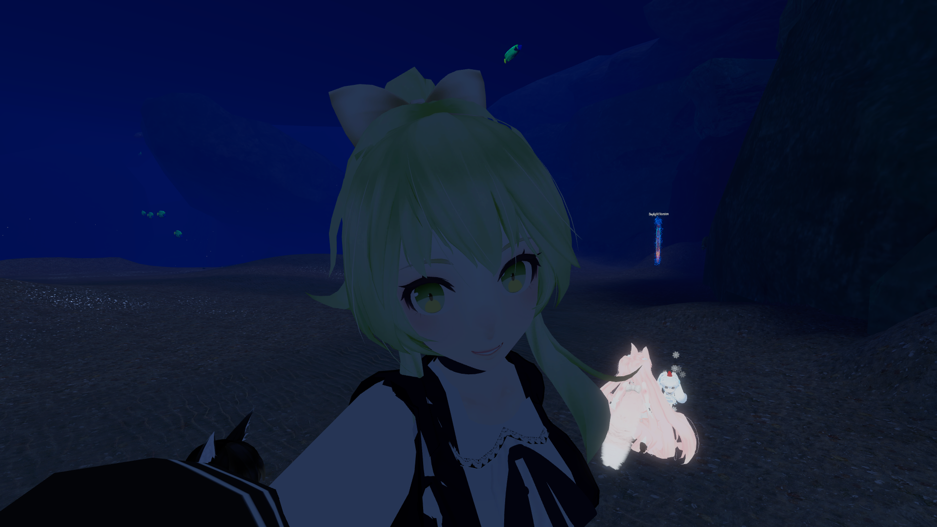 VRChat_1920x1080_2019-01-10_09-39-08.717.png